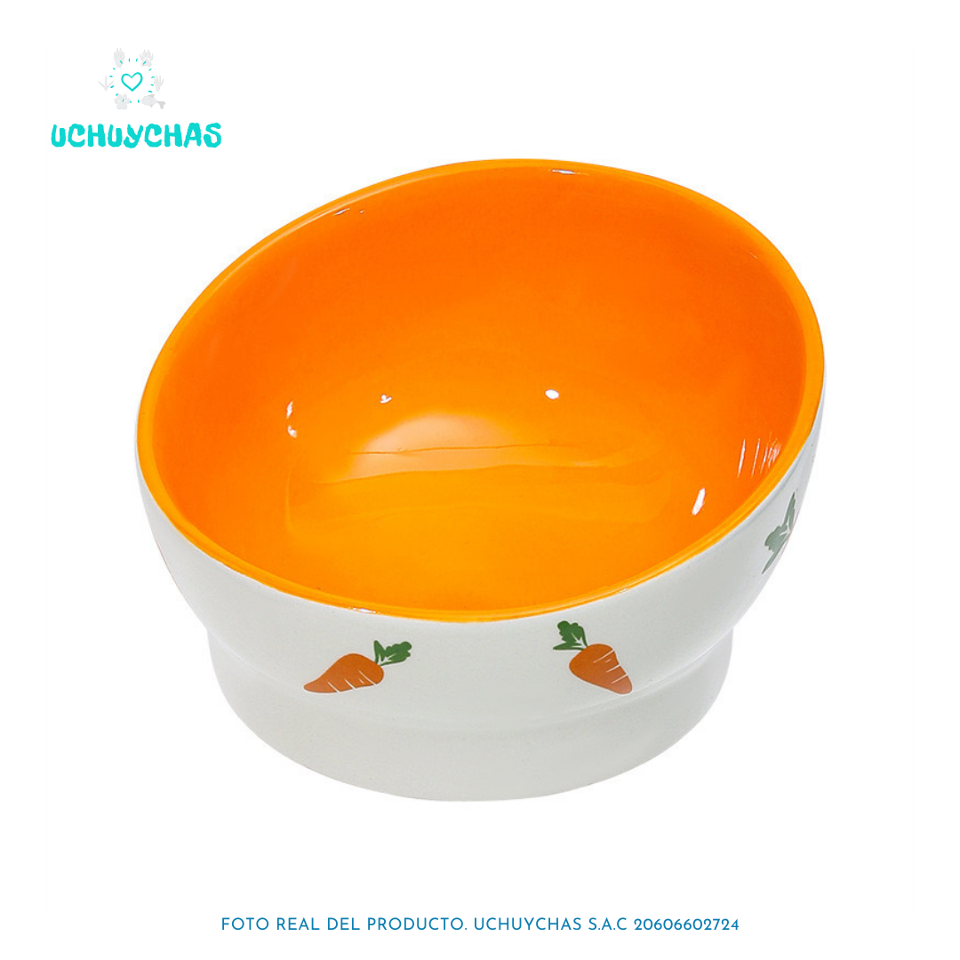 Plato Carrot Ovalado
