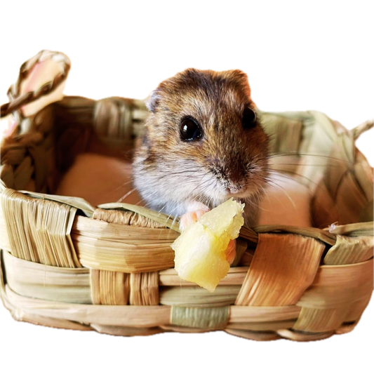 Camita Puñuna Roedores