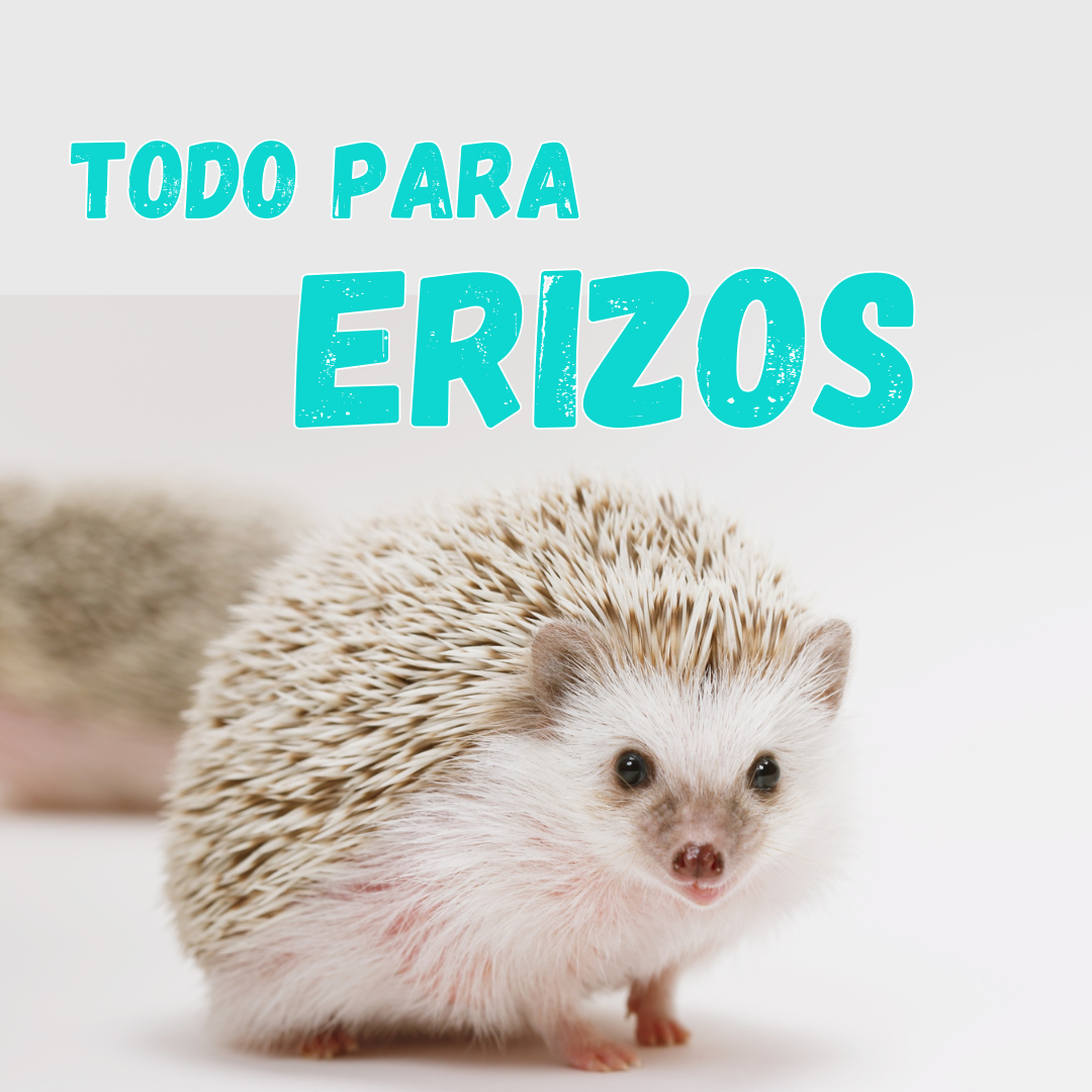 Erizos