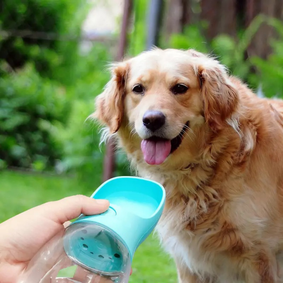 Pet Cup Care