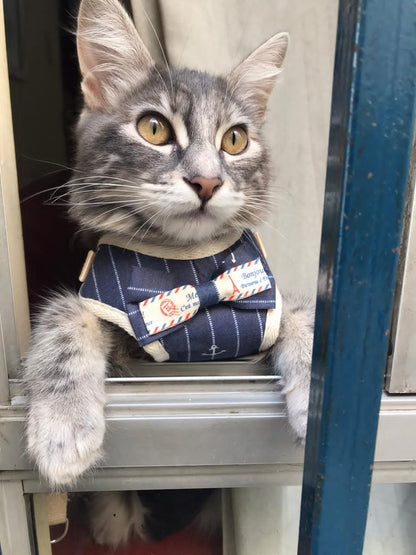 Arnés para Mascotas Pequeñas