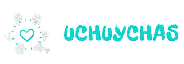 Uchuychas
